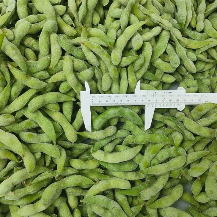 Freezing Techniques for Edamame