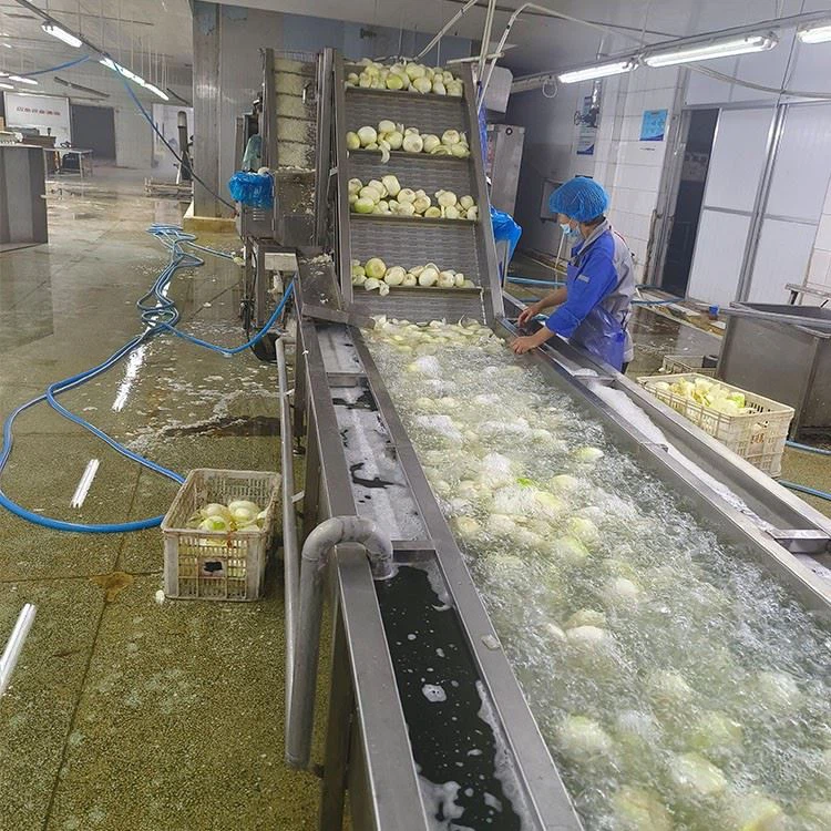 freezing diced onions