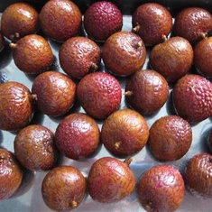 आईक्यूएफ लीची