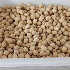 सूखे चने फ्रीज करें