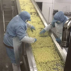 जमे हुए उबले आलू